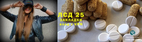 стафф Арсеньев