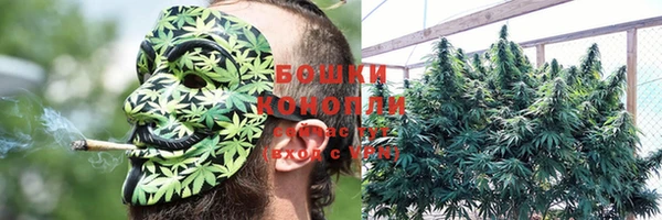метадон Аркадак