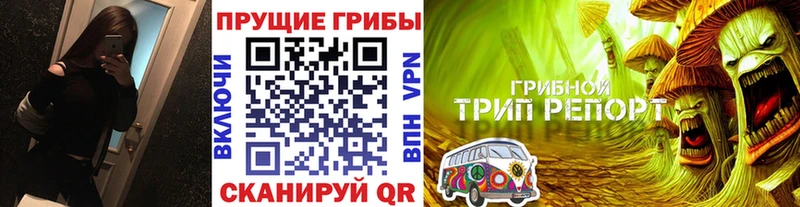 Галлюциногенные грибы Cubensis  даркнет сайт  Лахденпохья 