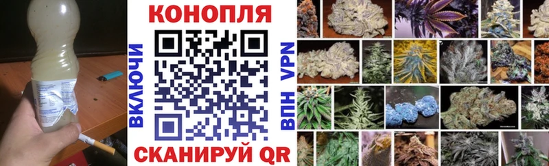 kraken зеркало  Лахденпохья  Каннабис индика 